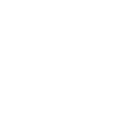 WLP Law